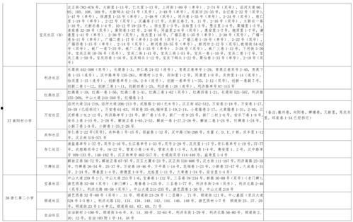 家园最新爆料视频下载大全,揭秘幕后真相，带你走进神秘世界