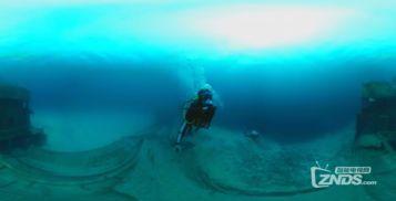 鲨鱼最新爆料视频大全下载,揭秘幕后真相，带你走进神秘世界