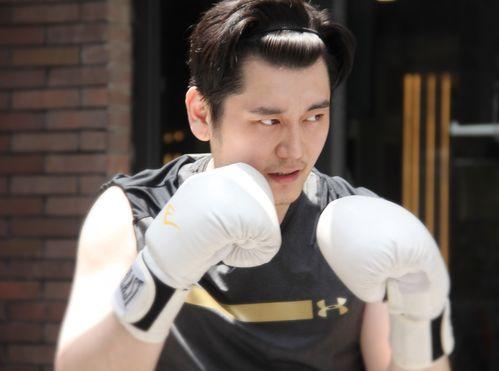 顾一意最新爆料视频大全,揭秘幕后真相与精彩瞬间