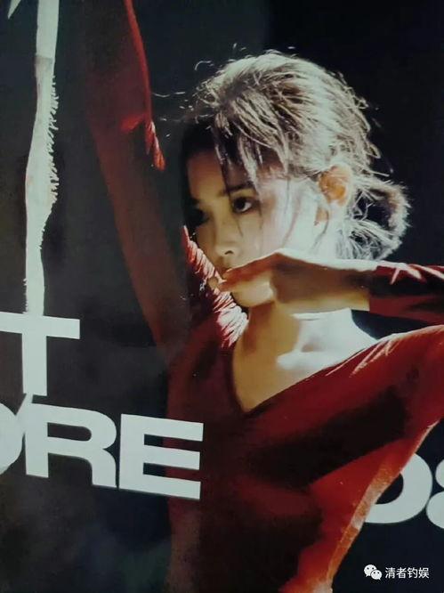 刘大锤最新爆料鞠婧祎,刘大锤独家爆料揭秘背后真相！”