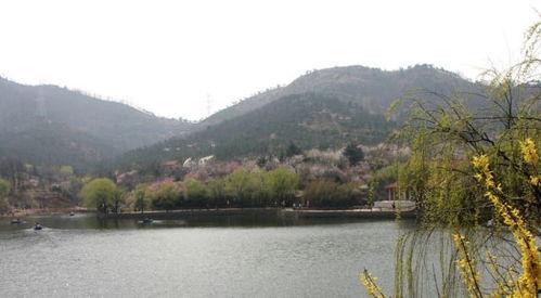 十梅庵今日爆料最新消息,今日最新爆料震撼来袭！