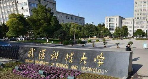 武汉科技大学最新事件爆料,揭秘校园风云突变背后的真相