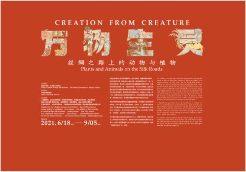 丝绸之路爆料了吗最新消息,揭秘爆料背后的真相与影响