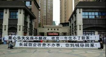 成都房地产最新爆料,揭秘最新热点项目与价格走势