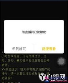 yy网红利哥最新爆料,yy网红最新爆料背后的惊人真相